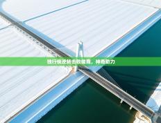 独行侠逆转击败雄鹿，神奇助力