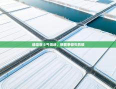 赫塔菲士气低迷，新赛季憾失胜绩