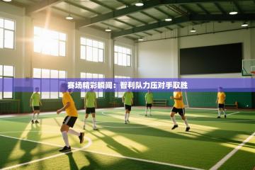 赛场精彩瞬间：智利队力压对手取胜