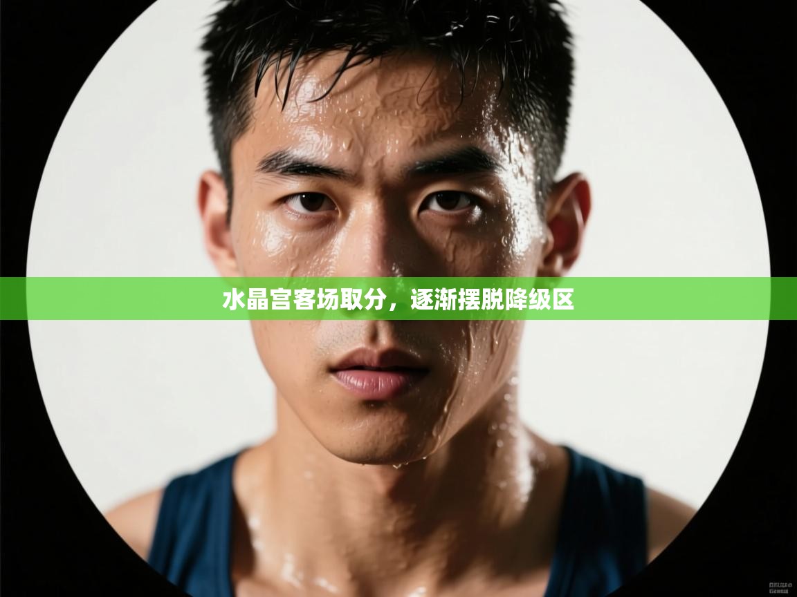 水晶宫客场取分，逐渐摆脱降级区  第2张