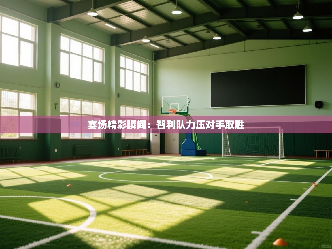 赛场精彩瞬间：智利队力压对手取胜  第2张