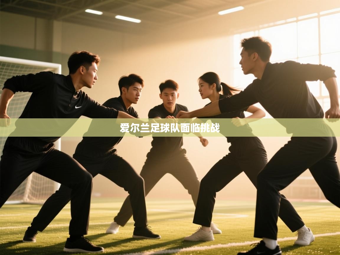 爱尔兰足球队面临挑战 第1张