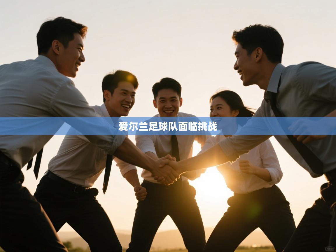 爱尔兰足球队面临挑战 第2张