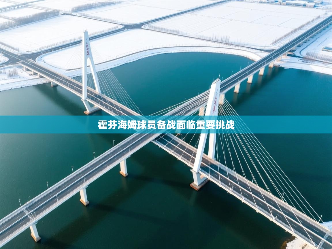 霍芬海姆球员备战面临重要挑战 第1张