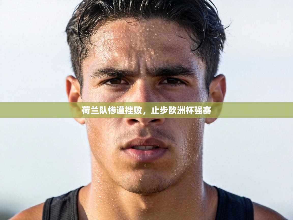 荷兰队惨遭挫败，止步欧洲杯强赛  第1张