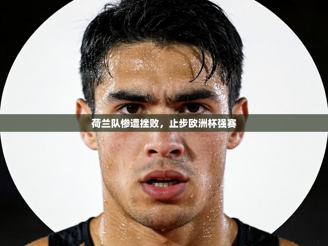 荷兰队惨遭挫败，止步欧洲杯强赛  第2张