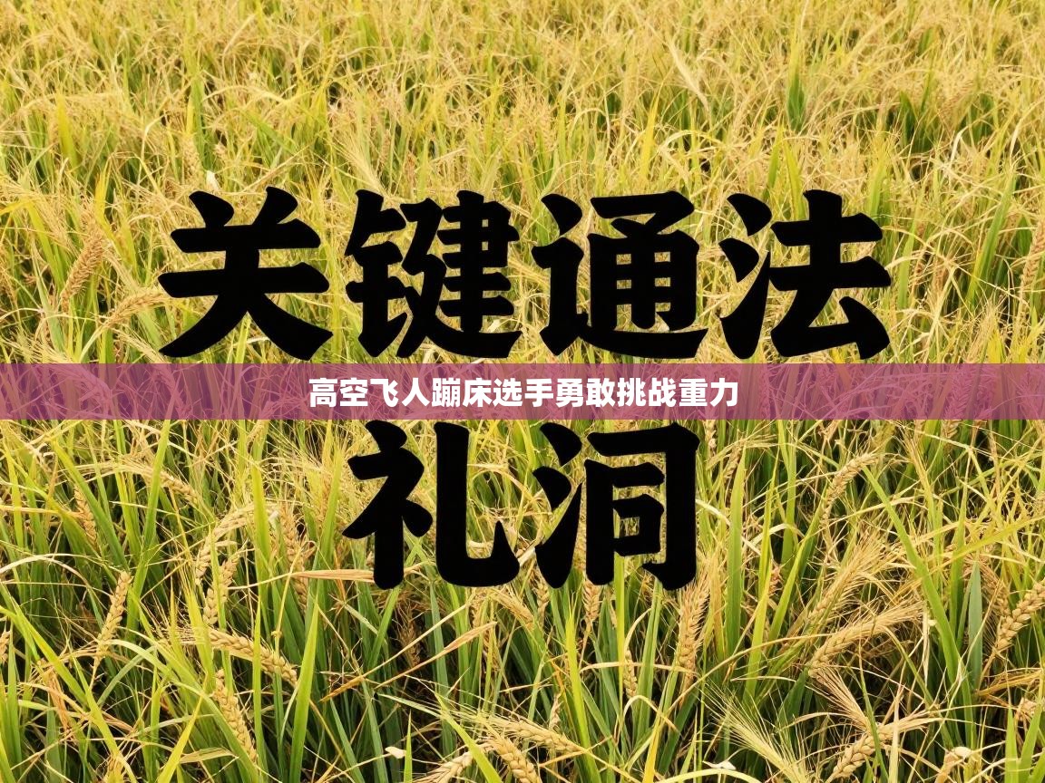 高空飞人蹦床选手勇敢挑战重力 第1张